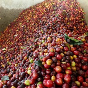 04-16 Colombia 98