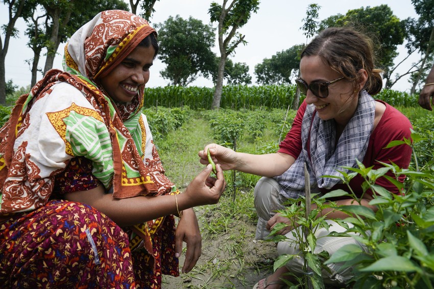 Image of volunteering in agricultural projects