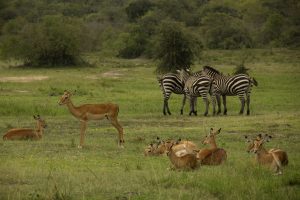 Gabriela in Africa