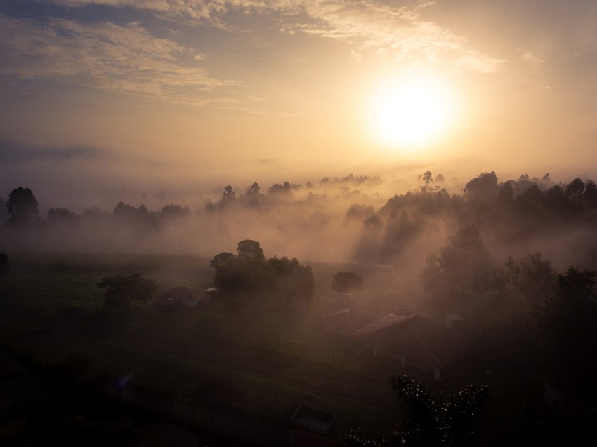 Image of natural beauty seen while volunteering