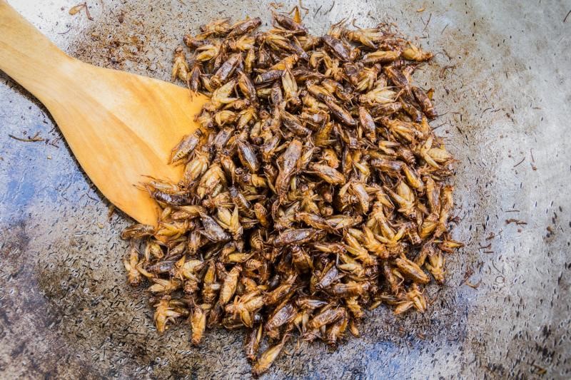 Eat interesting food while volunteering